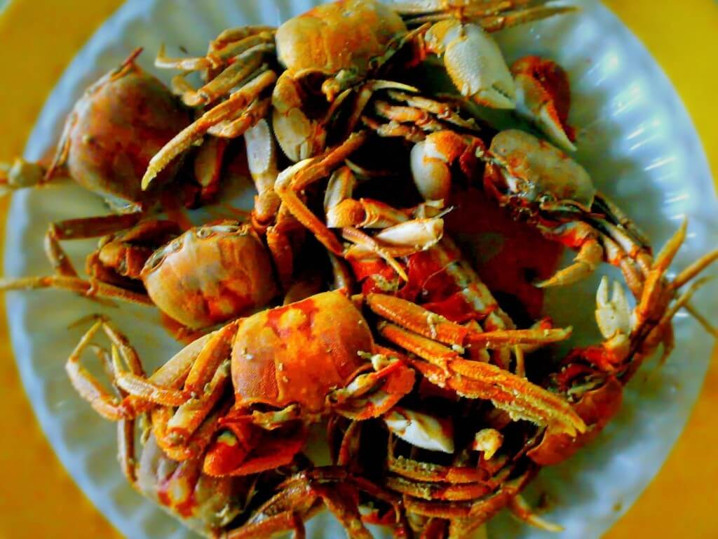 Fried Crablets (Fresh crabs and Shore / River crabs)